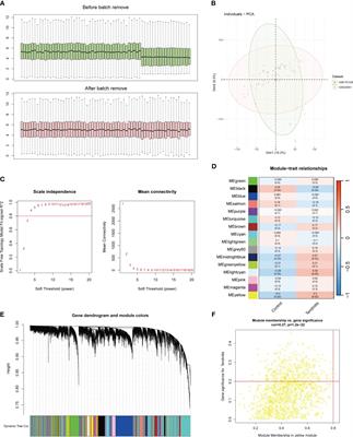 Elucidating the molecular landscape of tendinitis: the role of inflammasome-related genes and immune interactions